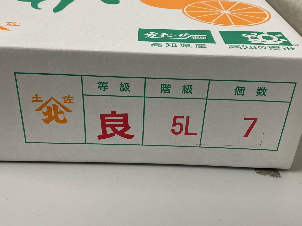 【大玉】高知県産 山北 柑橘の大様 せとか5L 1箱（7玉入）_画像2