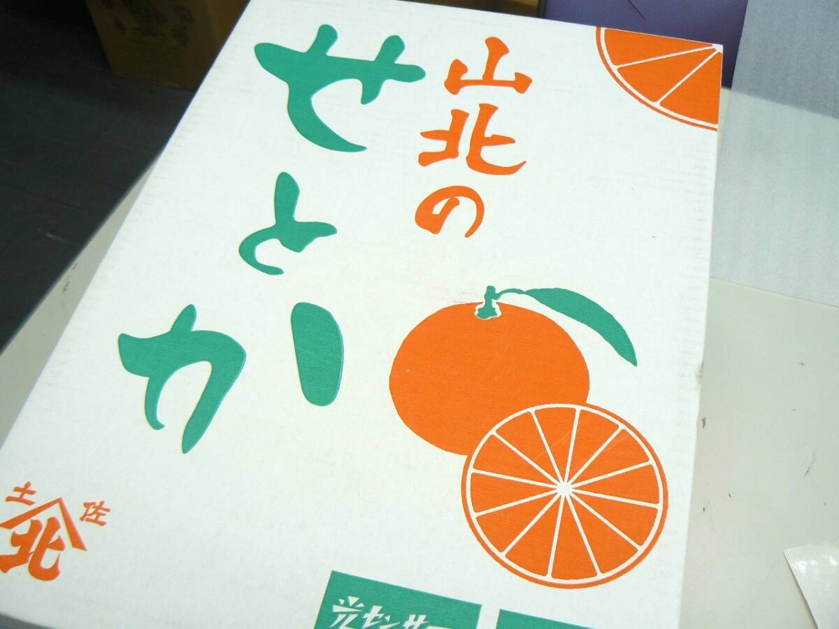【大玉】高知県産 山北 柑橘の大様 せとか5L 1箱（7玉入）_画像3