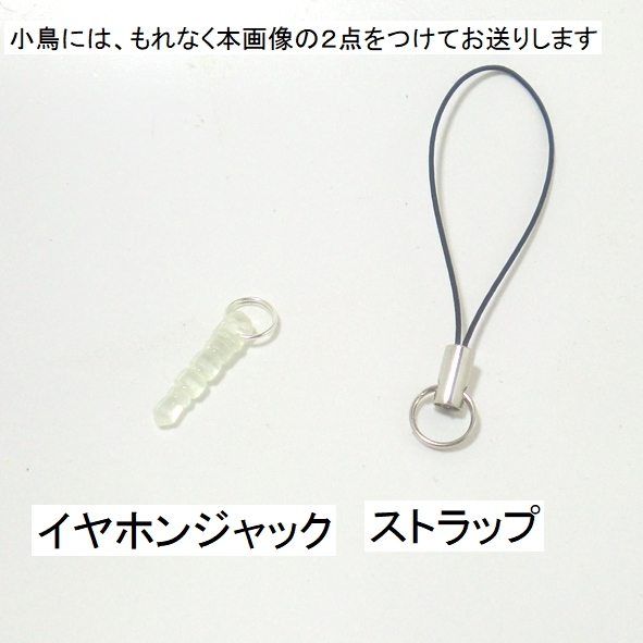 mameruli is white beads. small bird *3WAY( strap * earphone jack * fastener charm ) atelier small bird shop san 