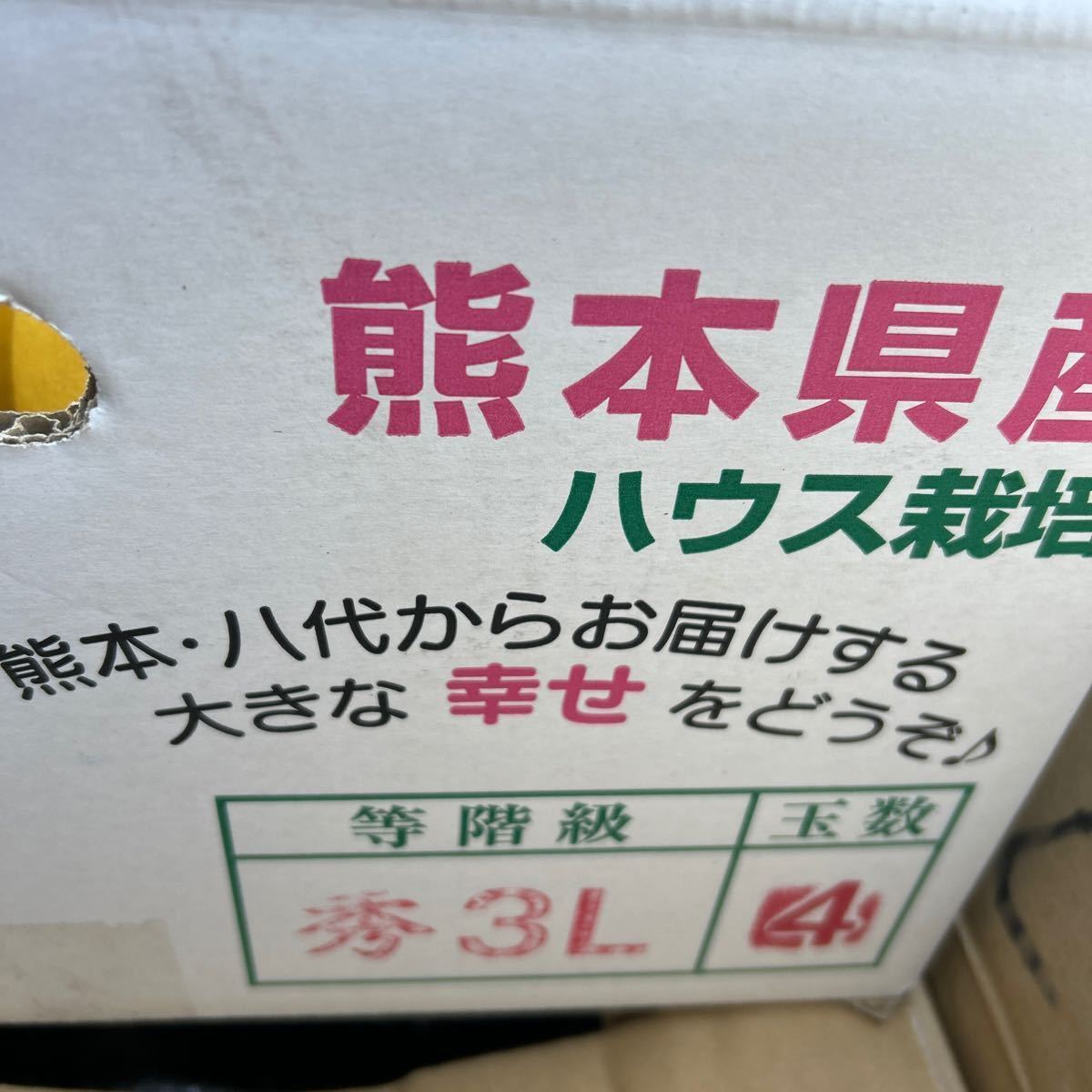 送料込み 熊本産 晩白柚 赤秀 (A級品) 3L 4玉約10キロ 2/11発送予定_画像8