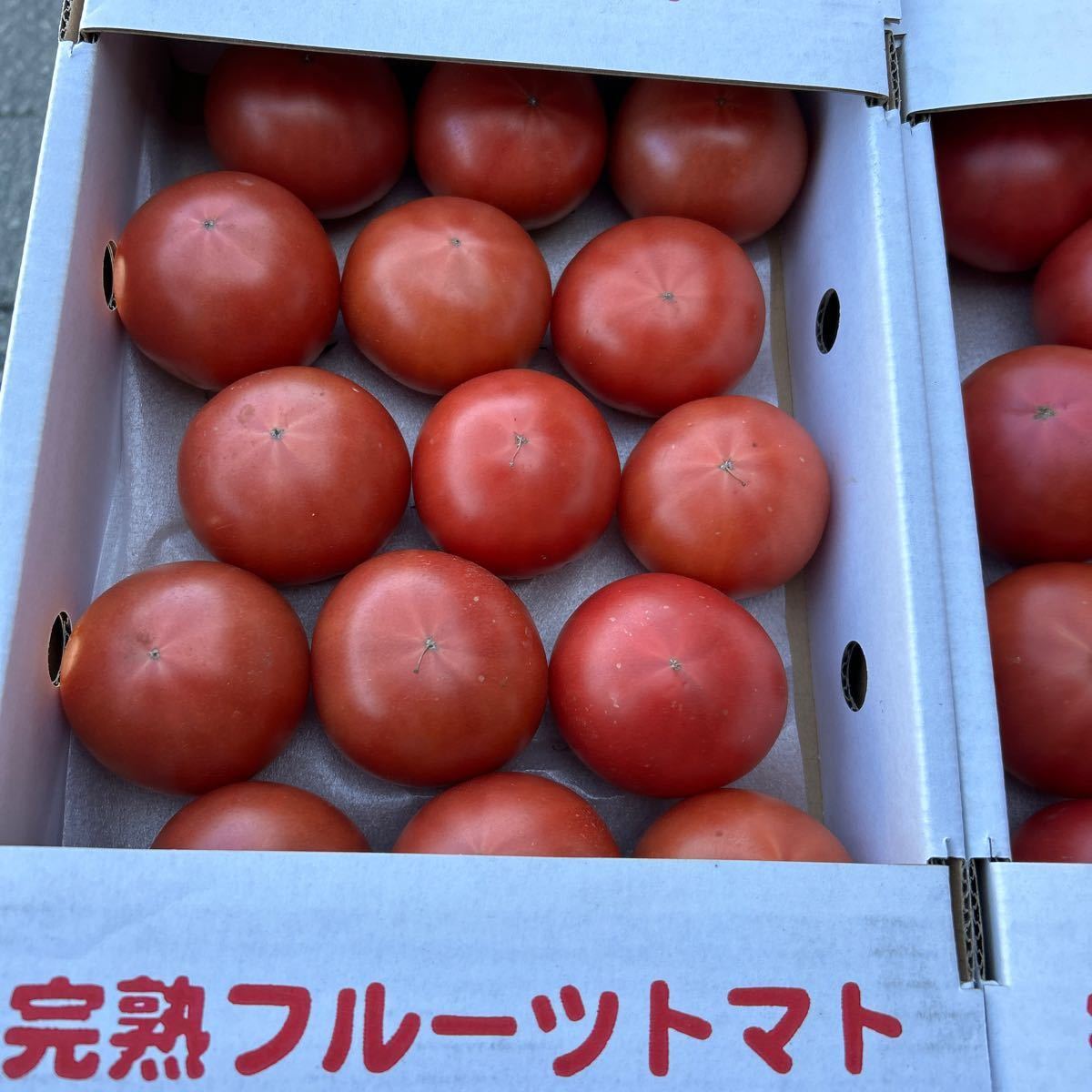送料込み 熊本産 塩トマト 秀品 2Lサイズ 1箱 2/19発送予定 箱込み約1.5キロ_画像3