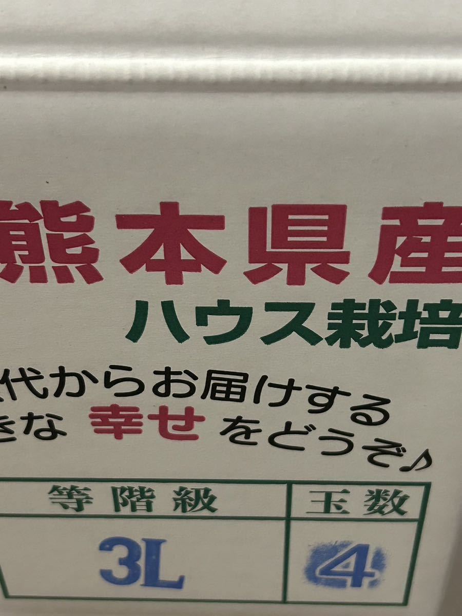 送料込み 熊本産 晩白柚 無印 (C級品) 3L 4玉約10キロ 2/13発送予定_画像5