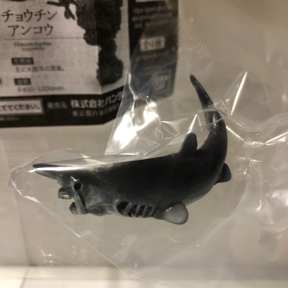 いきもの大図鑑ミニコレクション深海魚 ミツクリザメ_画像1