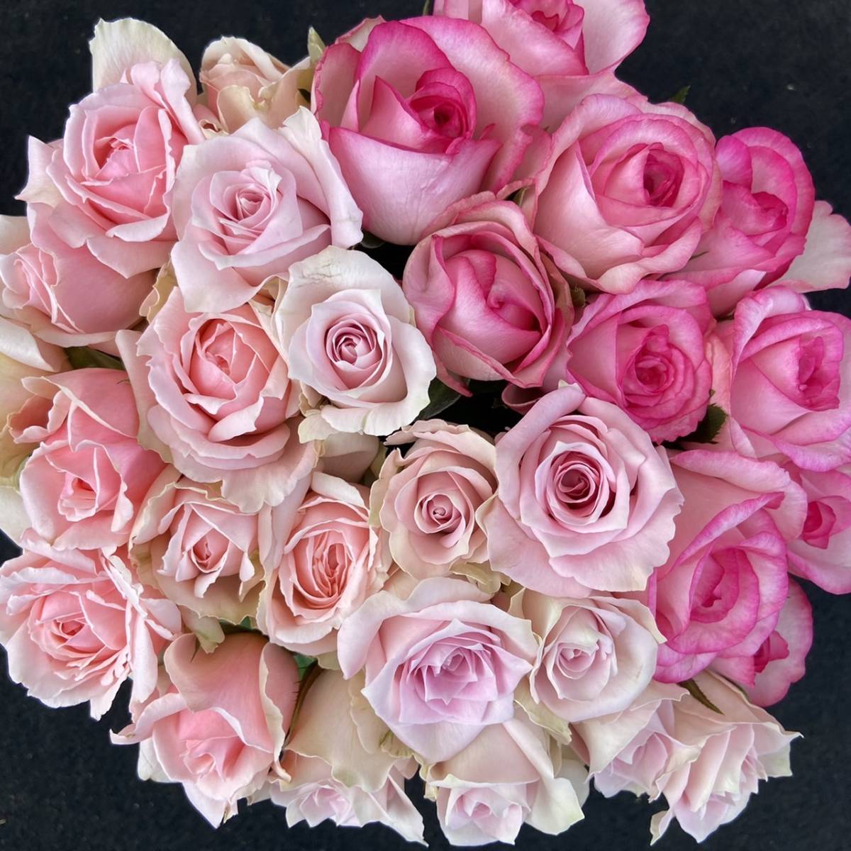 Роза (Cut Flower / Fresh Flower) Розовая смесь 30㎝ SM Размер 30 штук Прямая доставка! Отличная свежесть!