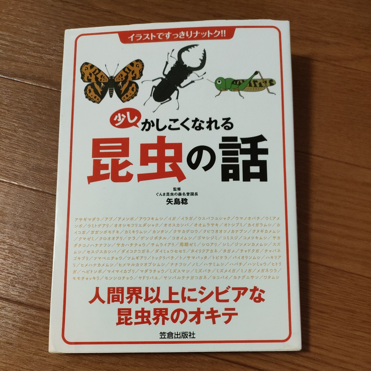 ★送料無料 即決♪ b　少しかしこくなれる昆虫の話　イラストですっきりナットク！！ 矢島稔／監修　vv②_画像1