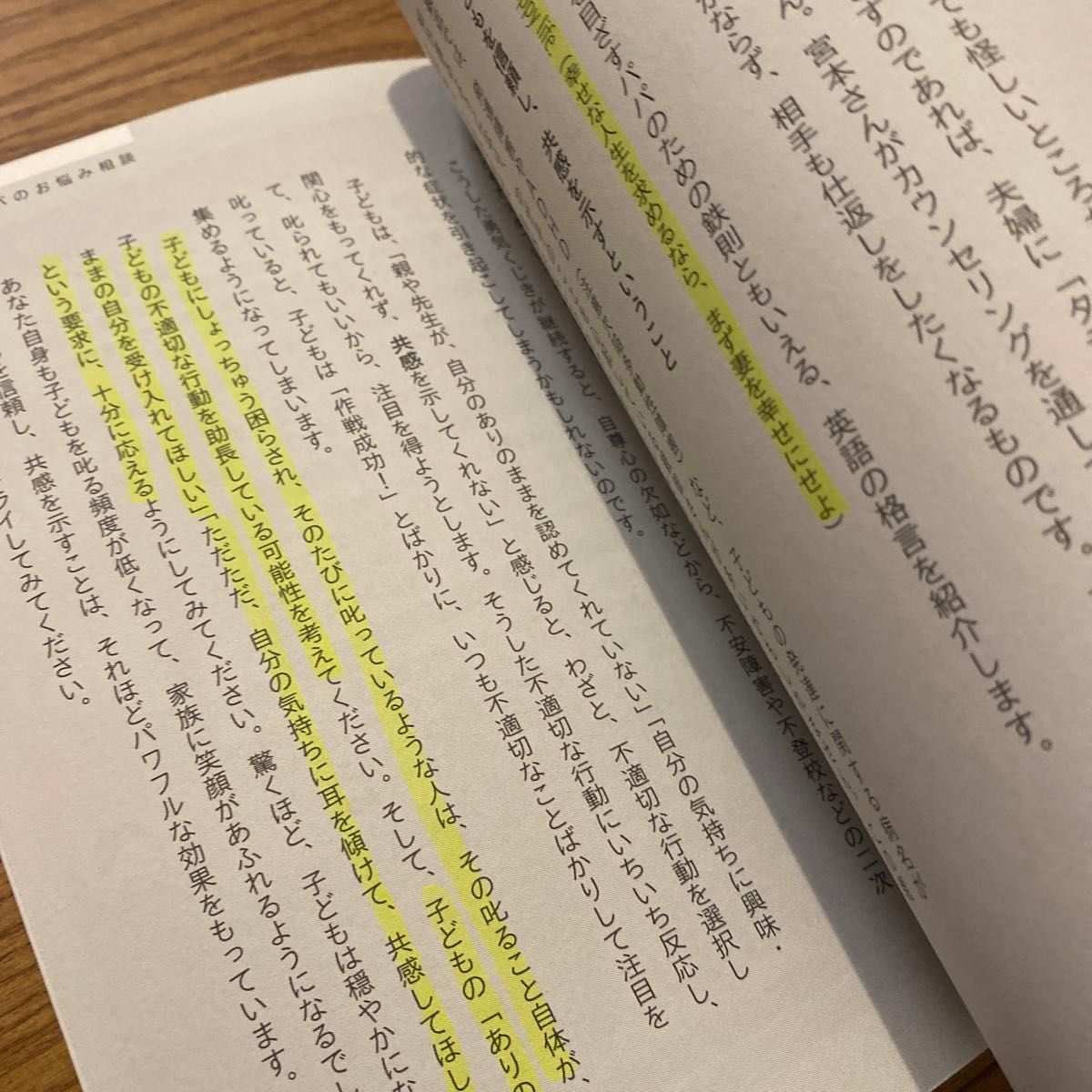 アドラー式子育て家族を笑顔にしたいパパのための本 （アドラー式子育て） 熊野英一／著