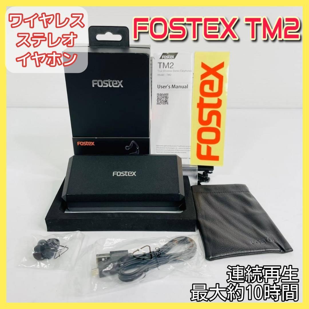 FOSTEX フォステクス ワイヤレスイヤホン【TM2】_画像1