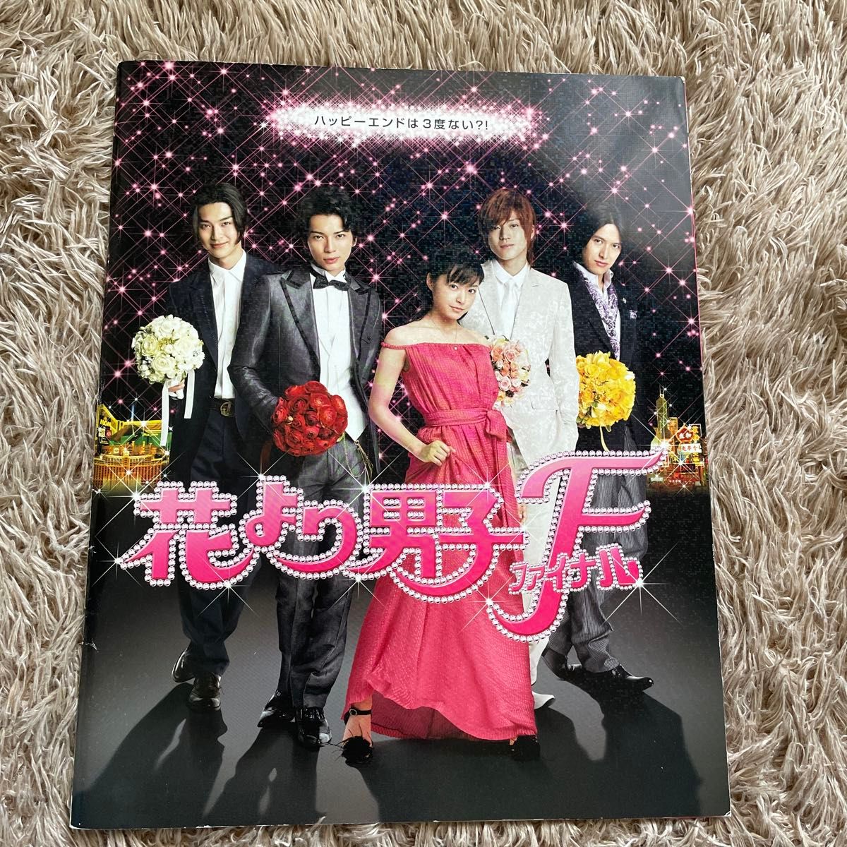 映画パンフレット 「花より男子ファイナル」 松本潤 井上真央 小栗旬 松田翔太 阿部力