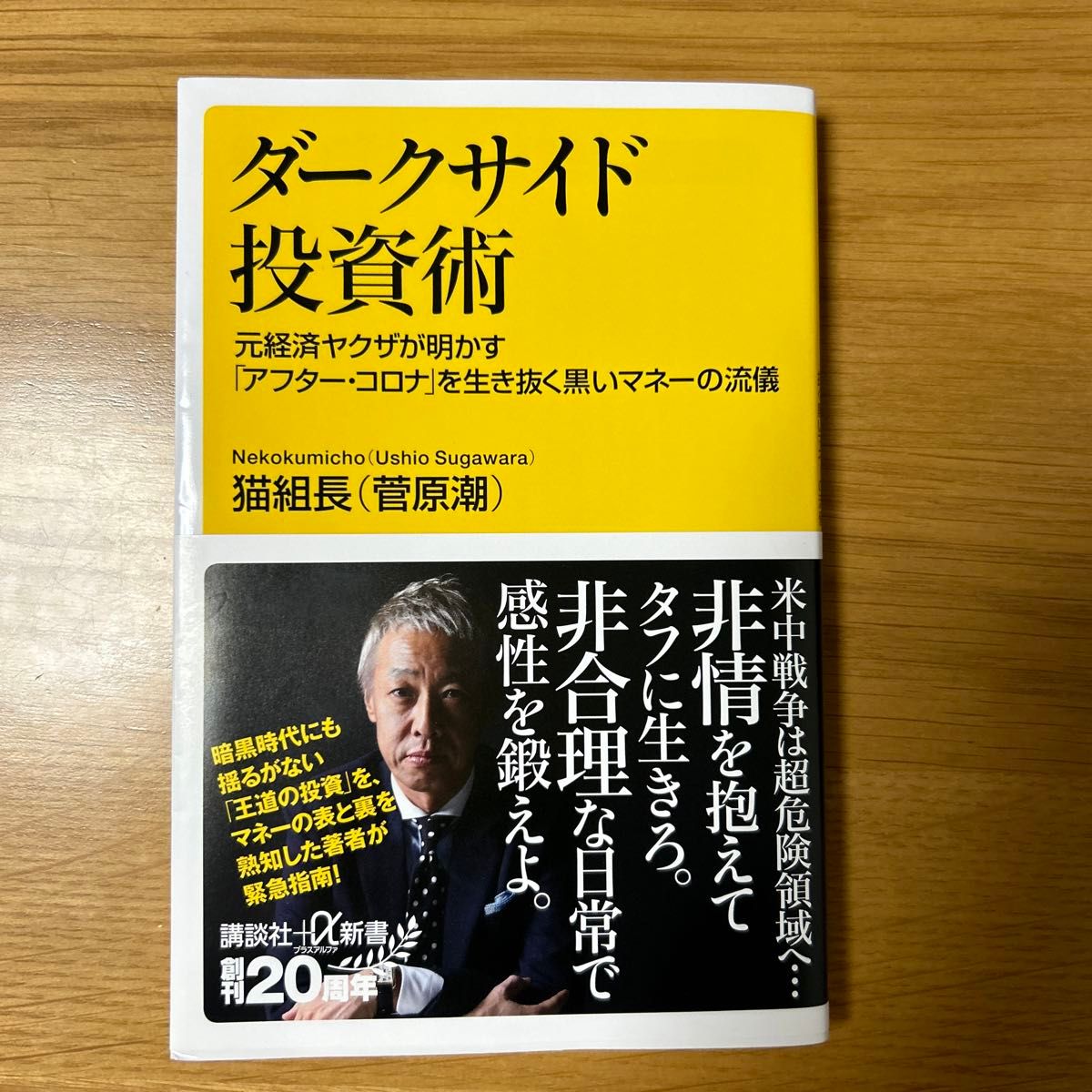 ダークサイド投資術　猫組長(菅原潮) 講談社