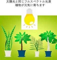 Samsung 植物育成LED電球9ｗ＆クリップ式ホルダーセット コンセントコード ON/OFF スイッチ付き 太陽に一番近いフルスペクトル_画像2