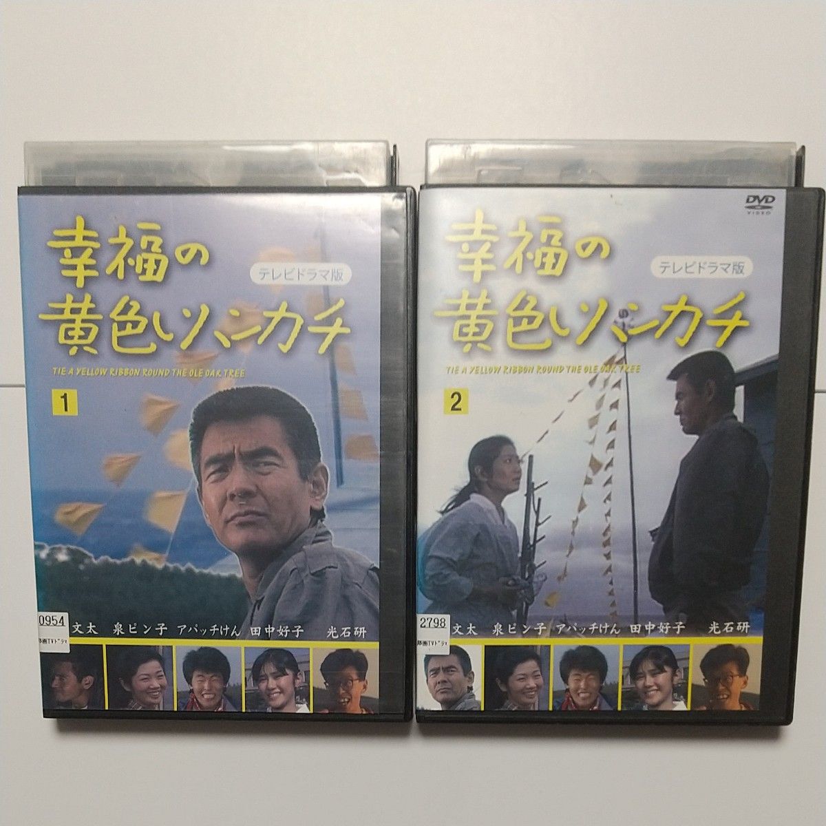 送料無料 DVD 幸福の黄色いハンカチ レンタル落ち  テレビドラマ版 菅原文太 泉ピン子 田中好子 アパッチけん 光石研 全2巻