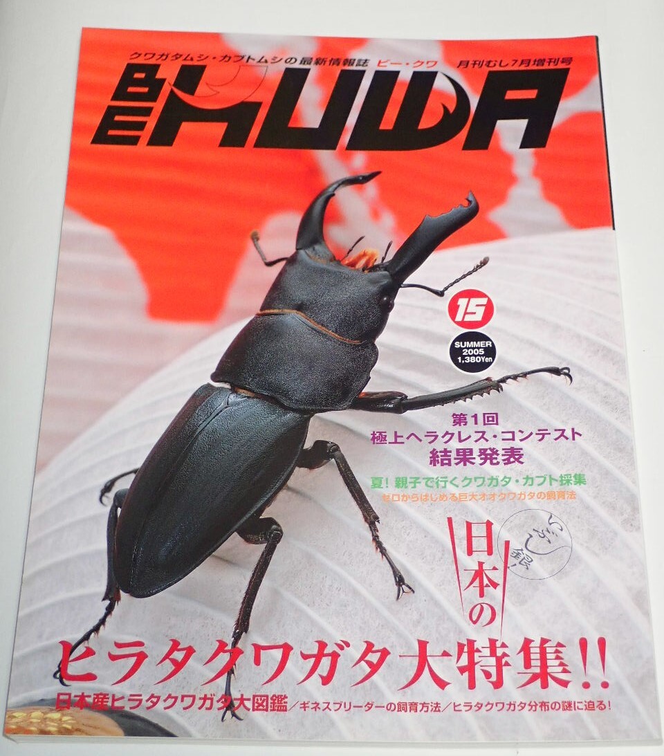  Beak waNo.15# japanese common ta stag beetle large special collection l finest quality Hercules * navy blue test result departure table | stag beetle * Kabuto collection | common ta stag beetle minute cloth. mystery ...