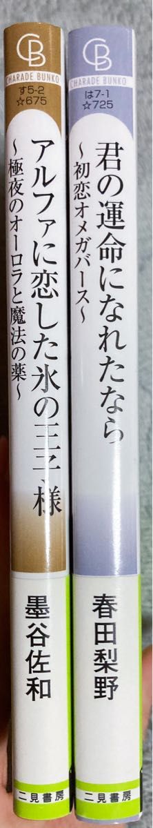 BL小説　2冊セット　墨谷佐和　春田梨野　オメガバース