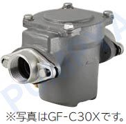 日立 GF-C25X　砂こし器　日立ポンプ　井戸　砂取　新品_画像1