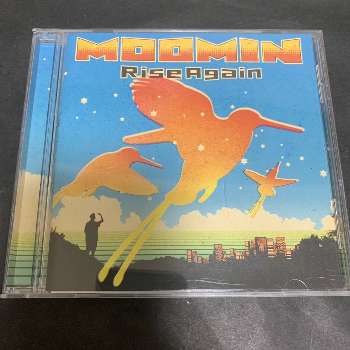 激レア！ムーミン MOOMIN 2003年 CD/ライズアゲイン Rise Again/いつもそばで 栽培したい～世界中で～ 他全9曲収録 CD アルバム ★ イ12_画像1