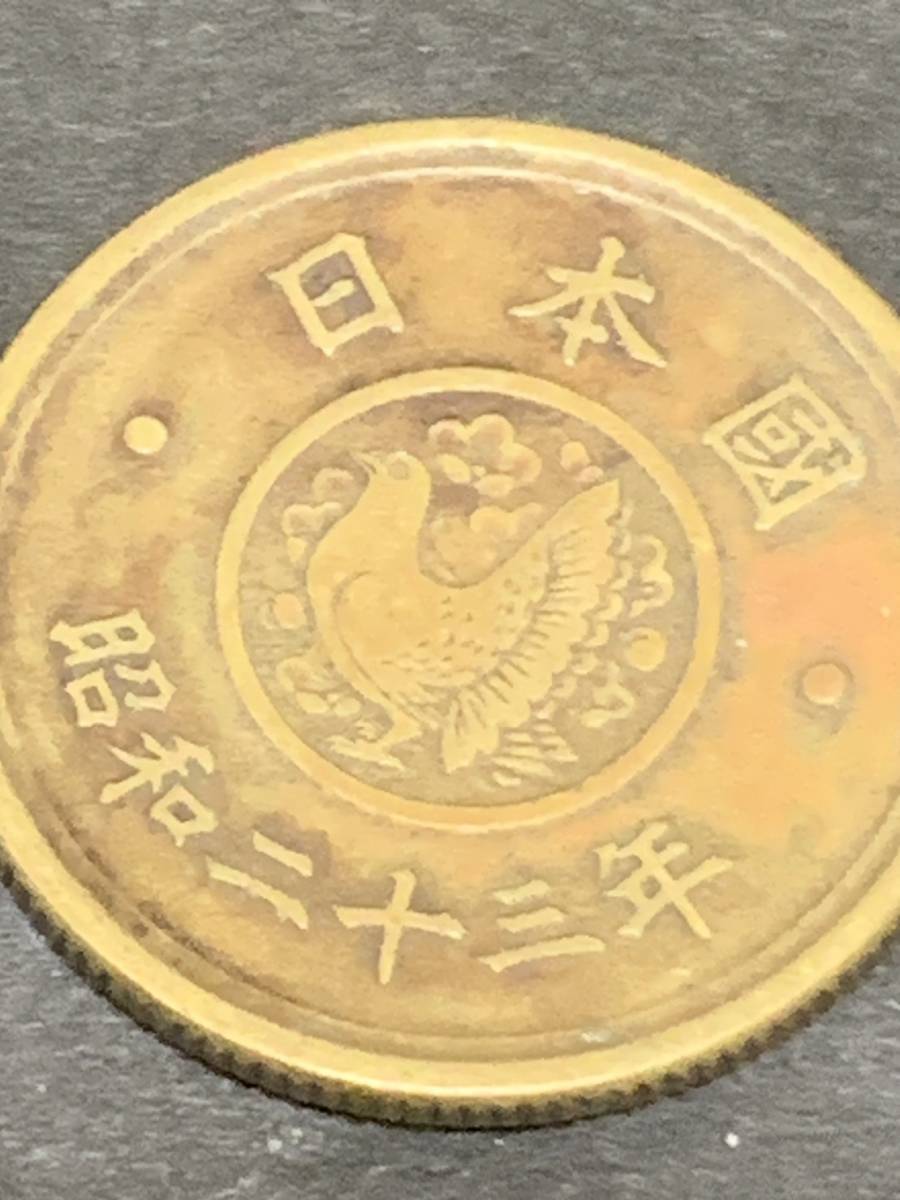 希少古銭！ 穴ナシ5円黄銅貨 昭和23年・ 24年 美品 ア405_画像5