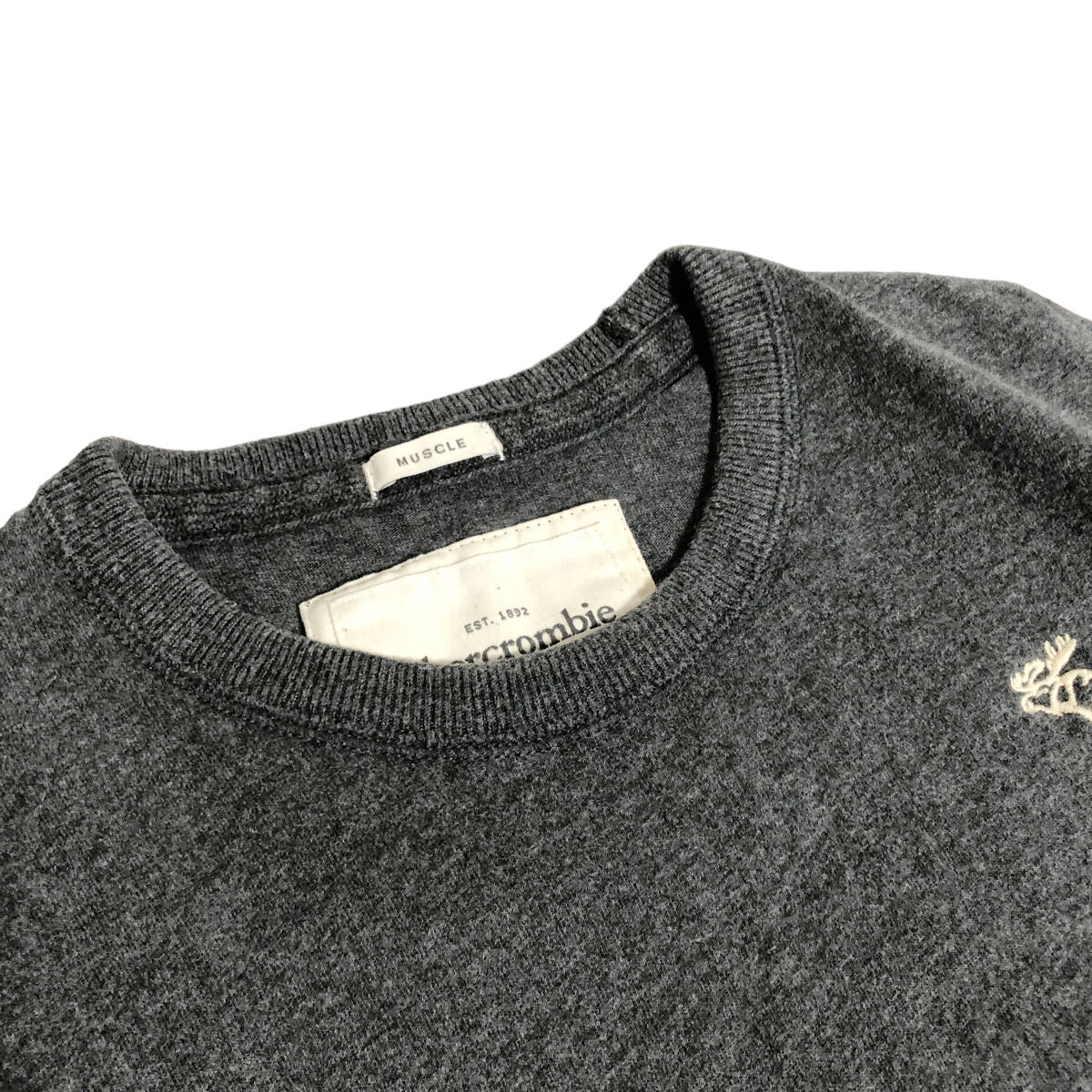 Abercrombie&Fitch アバクロンビー&フィッチ Tシャツ 長袖 袖ロゴ M チャコールグレー ロンT メンズ A3_画像5