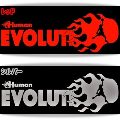 * thousand jpy and more postage 0*20cm-. on person kind. evolution [ basketball compilation ] basketball sticker * car * car also, originals te car DC(4)