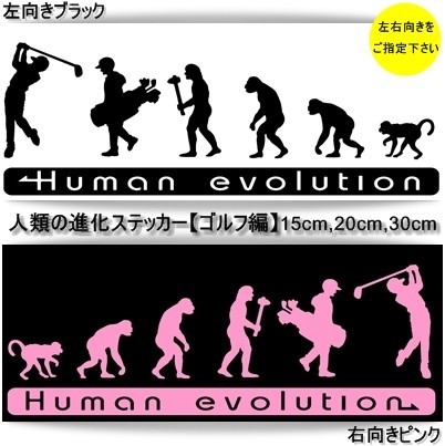 ★千円以上送料0★(30cm)人類の進化【ゴルフ編】プロゴルファー好き、オリジナルステッカー、カーステッカー、車のリアガラスに最適(0)_画像5