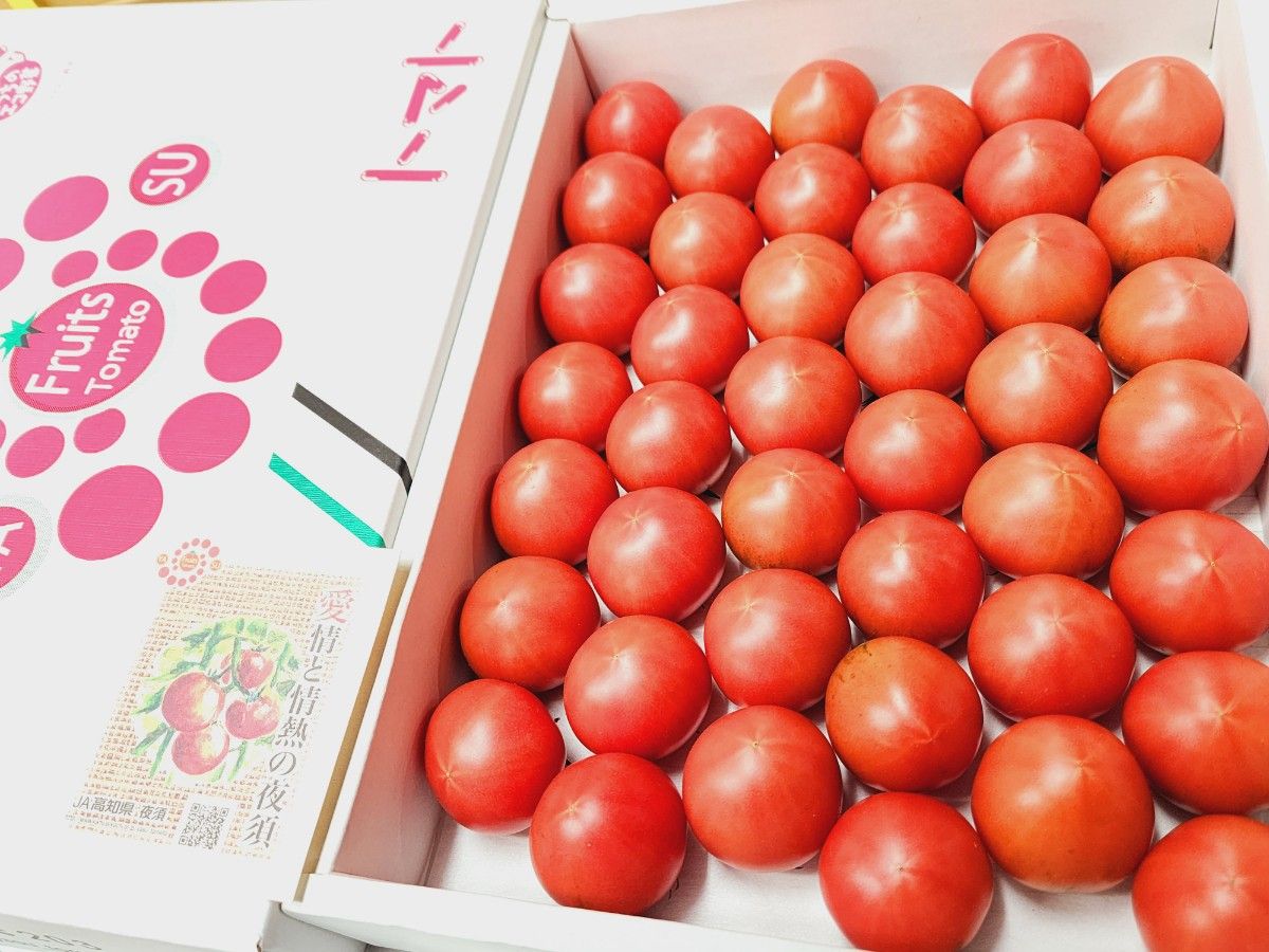 高知県夜須産 高糖度 夜須のフルーツトマト ”とさかみトマト” 約3kg ご家庭用 贈答用  24~43玉入 ホワイトデー 