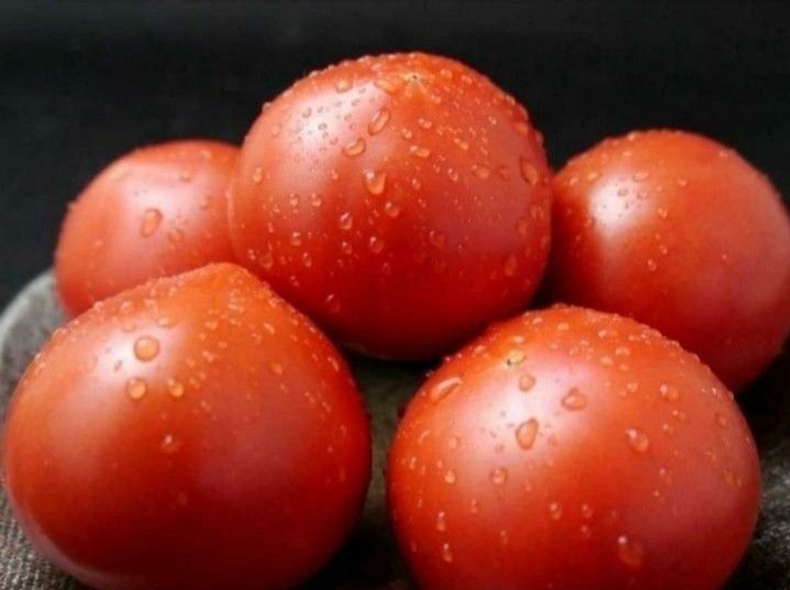 高知県夜須産 高糖度 夜須のフルーツトマト ”とさかみトマト” 約3kg ご家庭用 お歳暮 クリスマスプレゼント 贈答用  