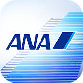 ANA 21000マイル 2日程度で加算 クレカOK マイレージ マイル数指定可 全日空 _画像1