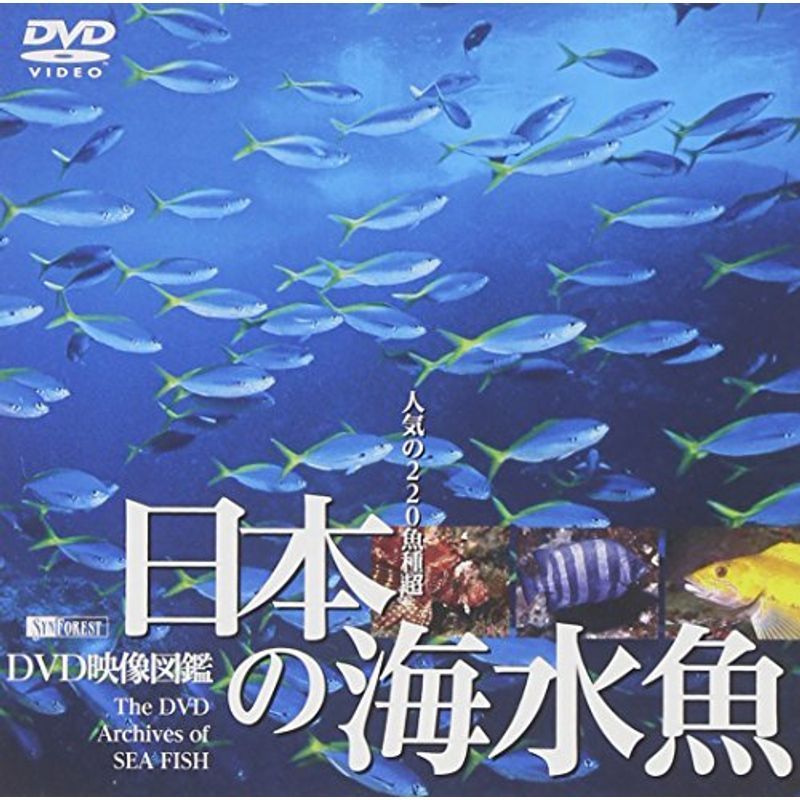シンフォレストDVD 日本の海水魚 DVD映像図鑑_画像1
