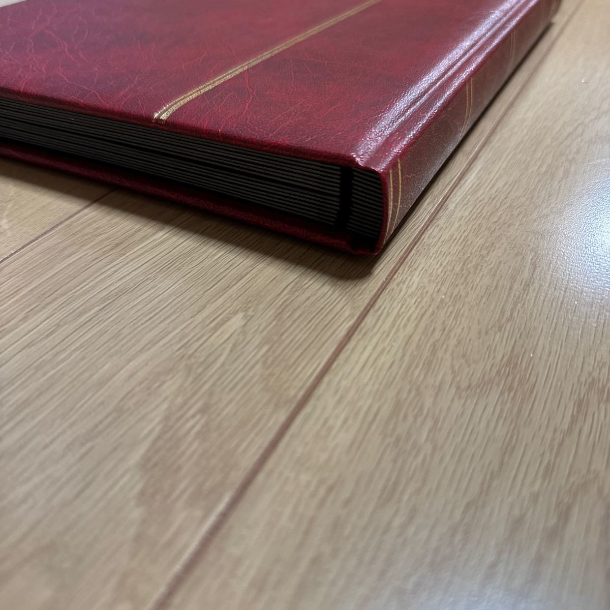 ストックブック 大容量 ドイツ 切手収納用アルバム 赤1冊 台紙16枚32ページ9段 縦約30.2cm横約22.7cm 付属品なしの画像3