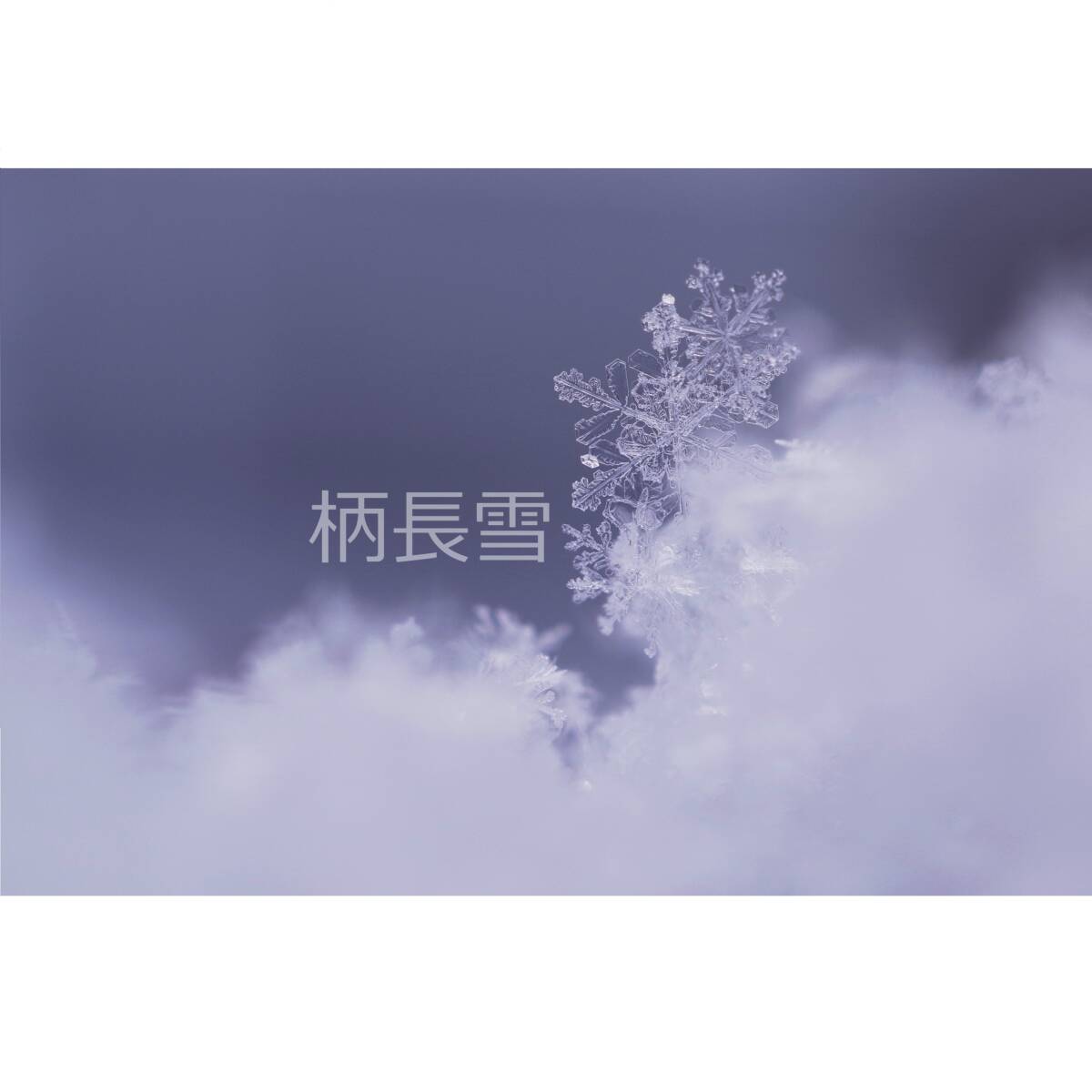 ＃１３０３ 雪の結晶の写真 ２Ｌサイズ （127×178mm）_画像2