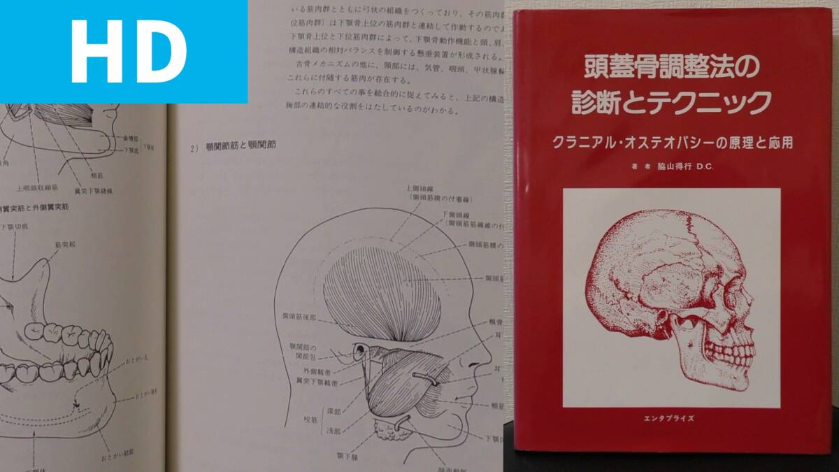 優れた品質 (HD) 現品限り 頭蓋骨調整法の診断とテクニック クラニアル