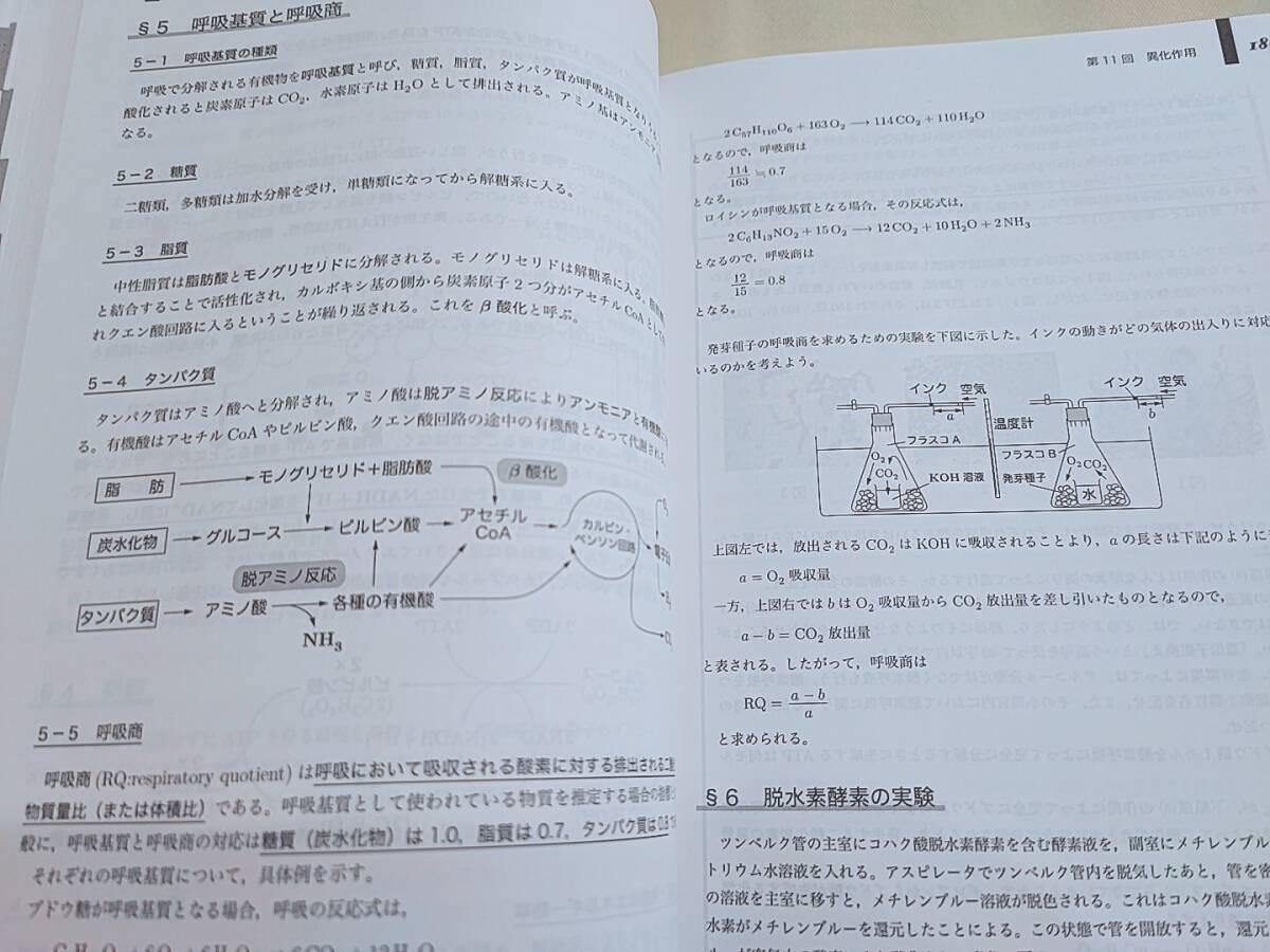鉄緑会 柳沼先生 高3生物発展講座 テキスト 問題集 おまけ冊子 鉄緑会 柳沼先生 高3生物発展講座 テキスト 問題集 おまけ冊子
