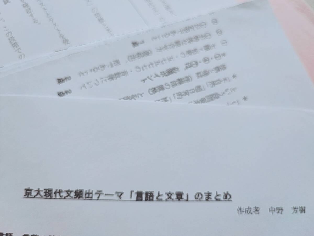 駿台　中野芳樹先生　京大現代文　テキスト　プリント　フルセット　頻出テーマ　　鉄緑会　河合塾　東進　Z会　共通テスト　東大京大　SEG