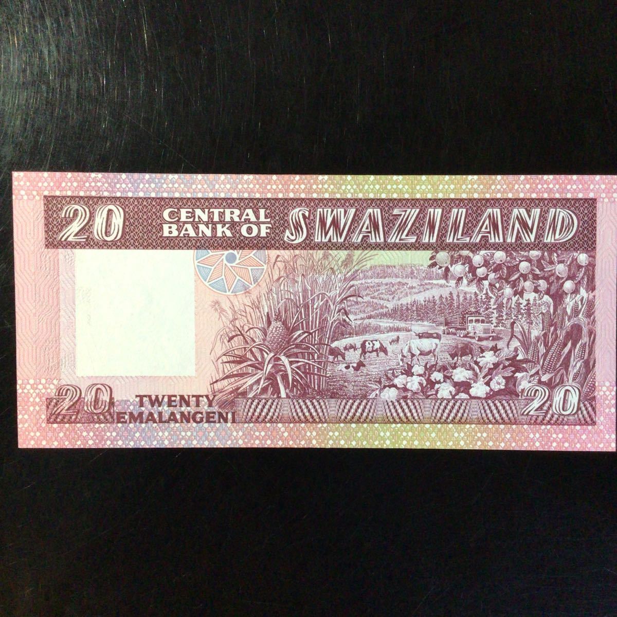 World Paper Money SWAZILAND《ESWATINI》 20 Emalangeni【1985】_画像2