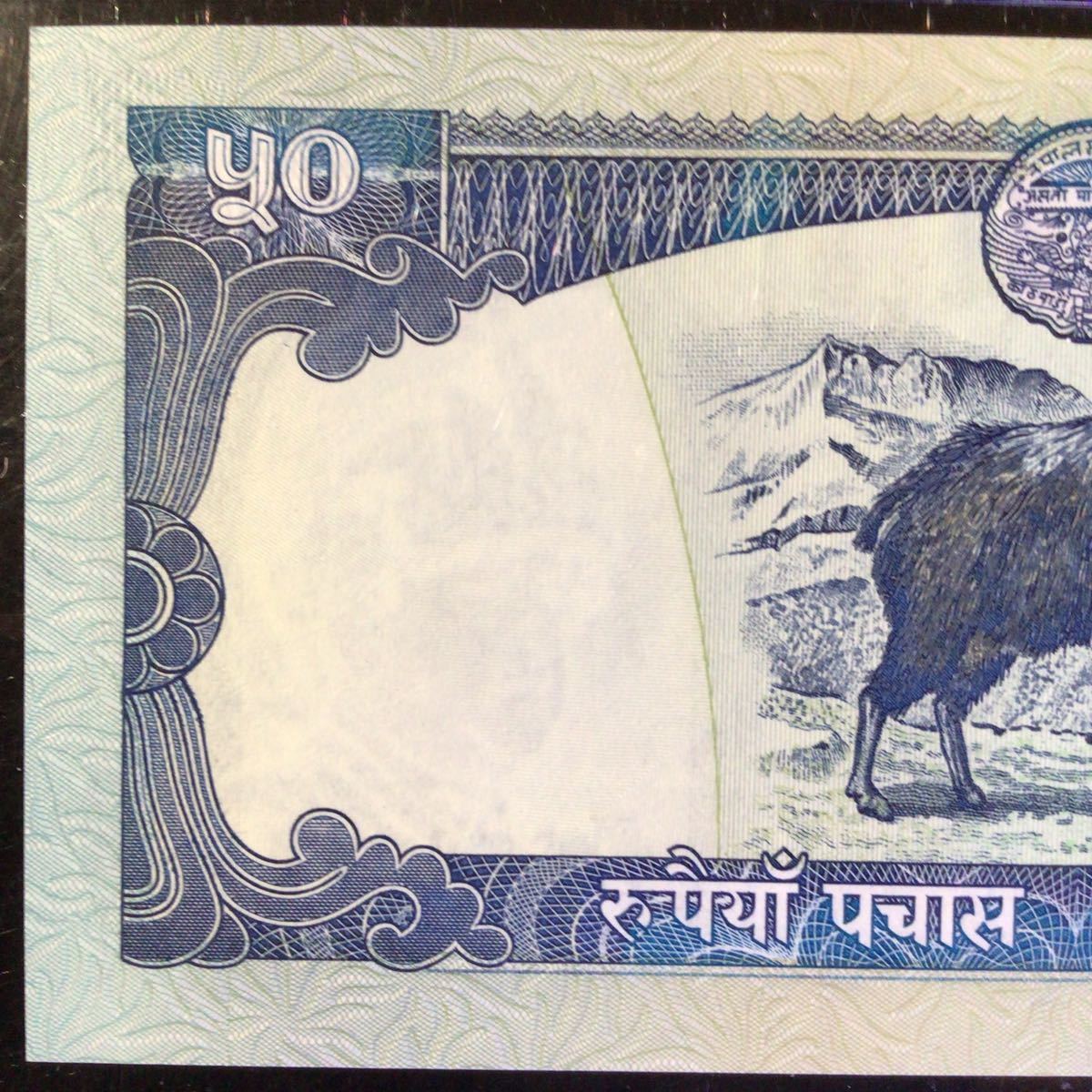 World Banknote Grading NEPAL《Central Bank》50 Rupees【2002】『PMG Grading Gem Uncirculated 65 EPQ』_画像6