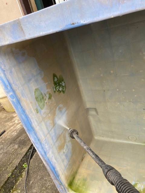 ジャンボックス１０００リター　水タンク　水槽　桶_食品用のウコンですので洗浄機でも落ちます