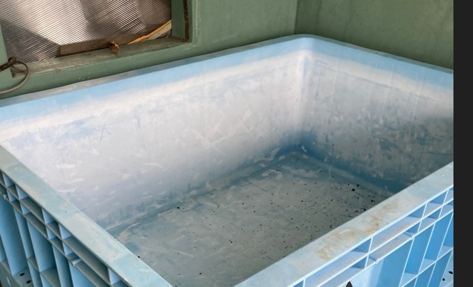 ジャンボックス１０００リター　水タンク　水槽　桶_漬物のウコンなどです。汚れはおちます。