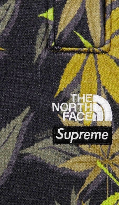 新品未使用★SUPREME★ザノースフェイス　リーフスウェットパンツXLサイズTHE NORTH FACEシュプリーム_画像4