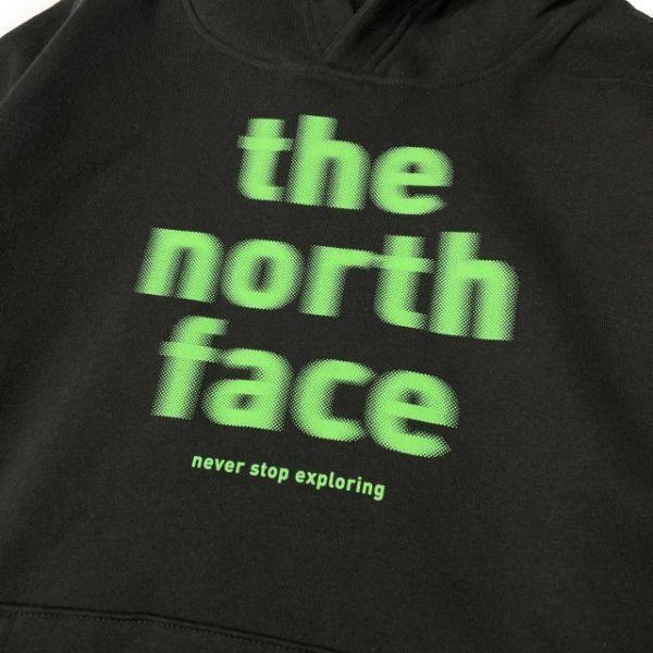 1円～!売切!【正規新品】THE NORTH FACE◆EVOLUTION VINTAGE HOODIE パーカー US限定 2023最新 グラフィック ノイズロゴ(L)黒 181130-30_画像5