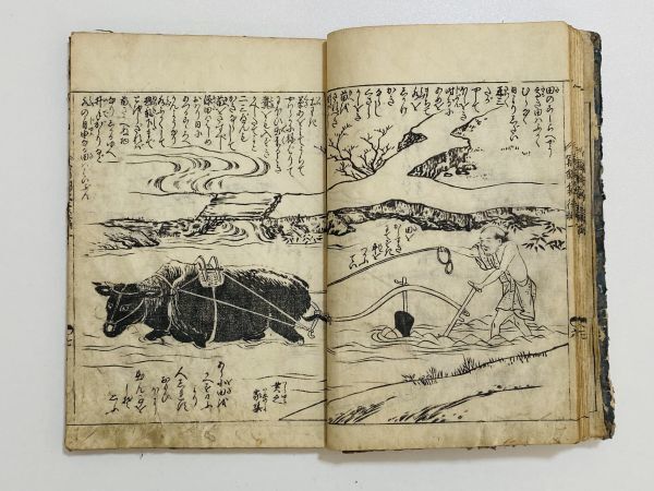 「繪本通寳志」巻一(柱:冩錦袋後編) 1冊 橘守国画｜和本 和書 古典籍 絵本 絵入本 浮世絵 読本 草双紙 絵本通宝志 花山水鳥獣海魚漁_画像7