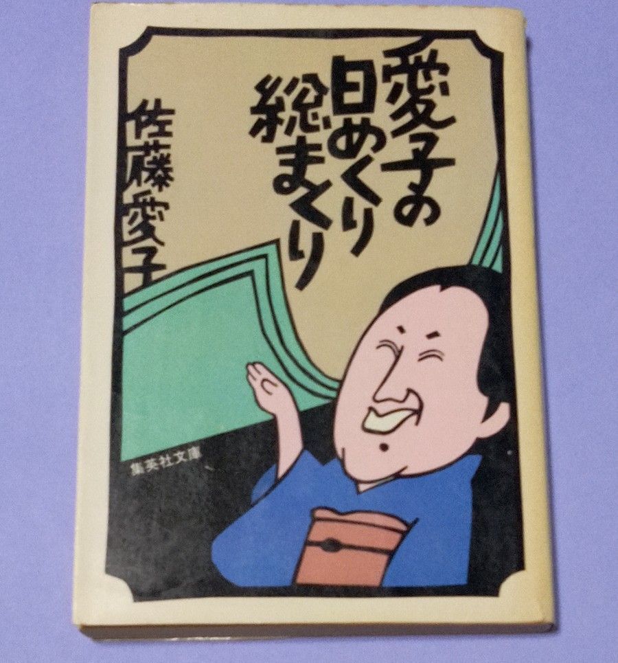 愛子の日めくり総まくり　佐藤愛子　集英社文庫　エッセイ集 昭和56年 文庫本　古本