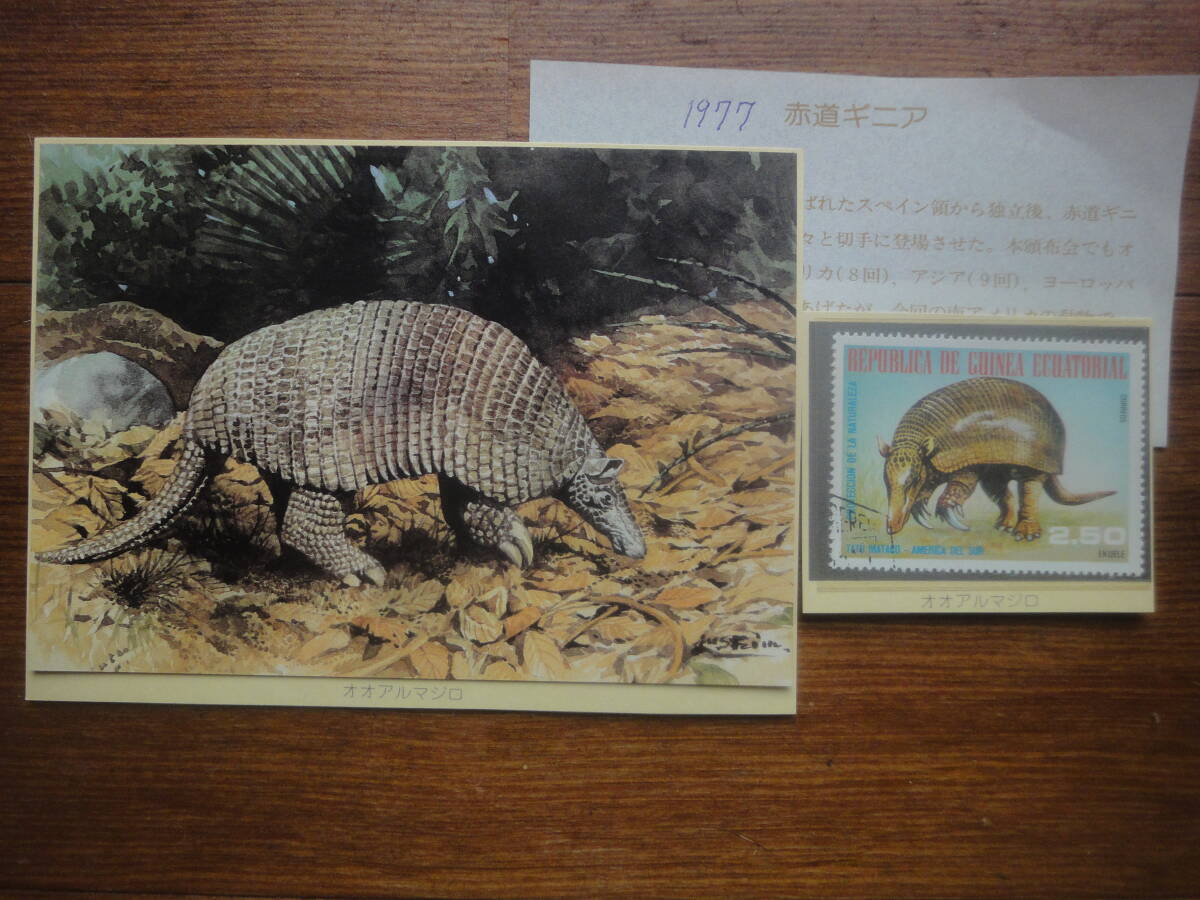 R(76) 赤道ギニア　動物・オオアルマジロ　写真＆解説付き　使用済1977年発行_画像1