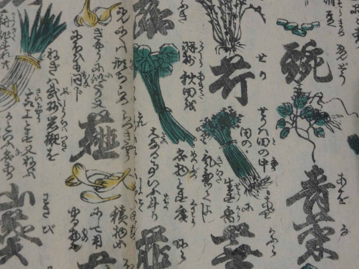 商売往来絵字引　二編　又玄斎南可　元治元年序　彩色絵入り　和本　古文書_画像9