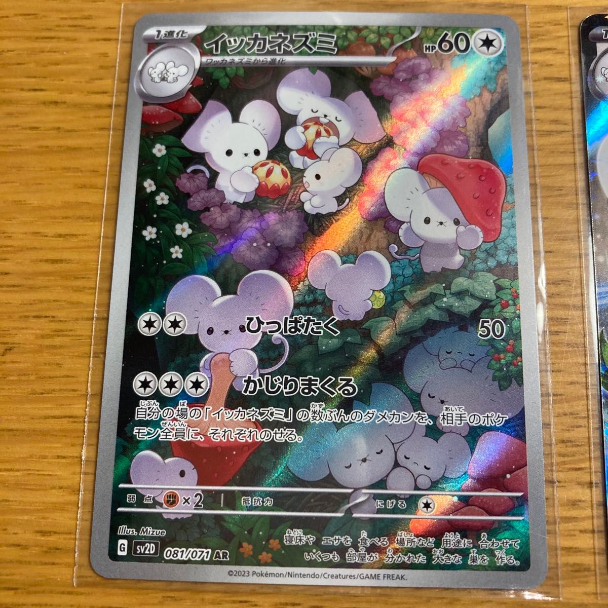 ポケモンカード イッカネズミ AR イッカネズミex RR ポケモンカード イッカネズミ AR イッカネズミex RR