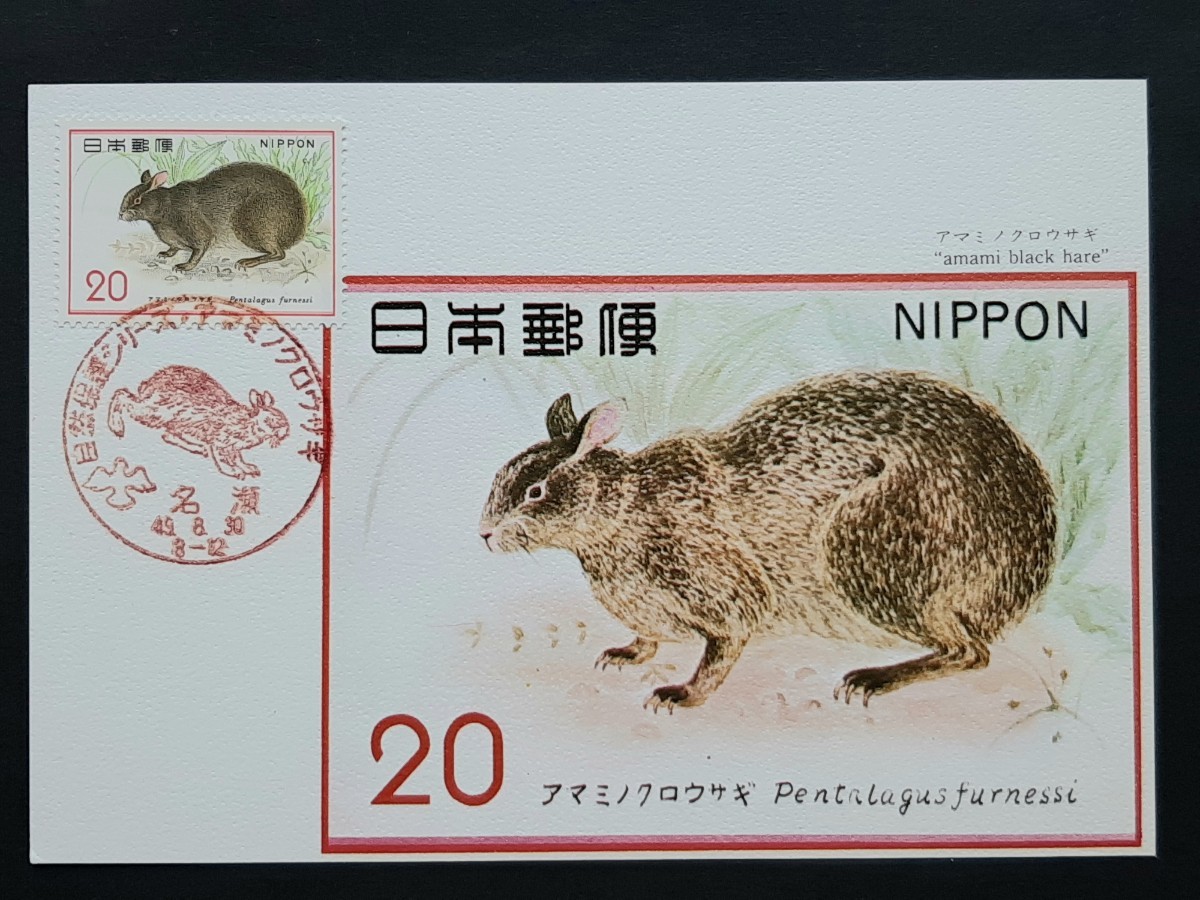 マキシマムカード　自然保護シリーズ　　アマミノクロウサギ_画像1