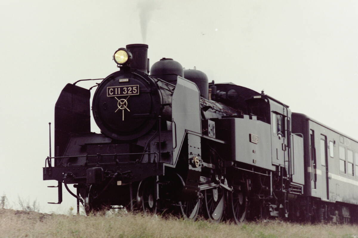 (B23)681 写真 古写真 鉄道 鉄道写真 蒸気機関車 C11325 フィルム ネガ まとめて 23コマ SL_画像10