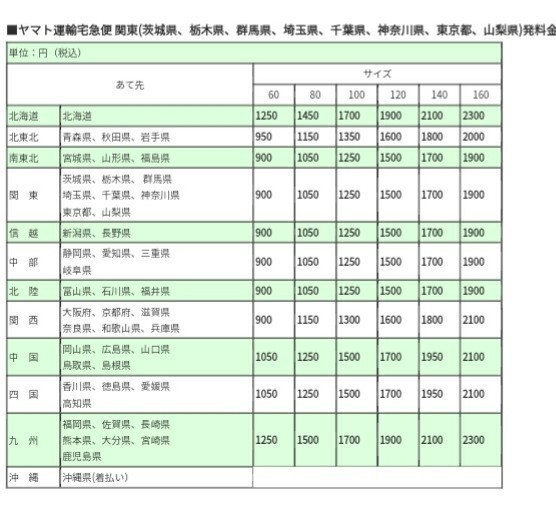 ザノースフェイス ファイヤー フライ ブーティ28.0 nf52181_画像7