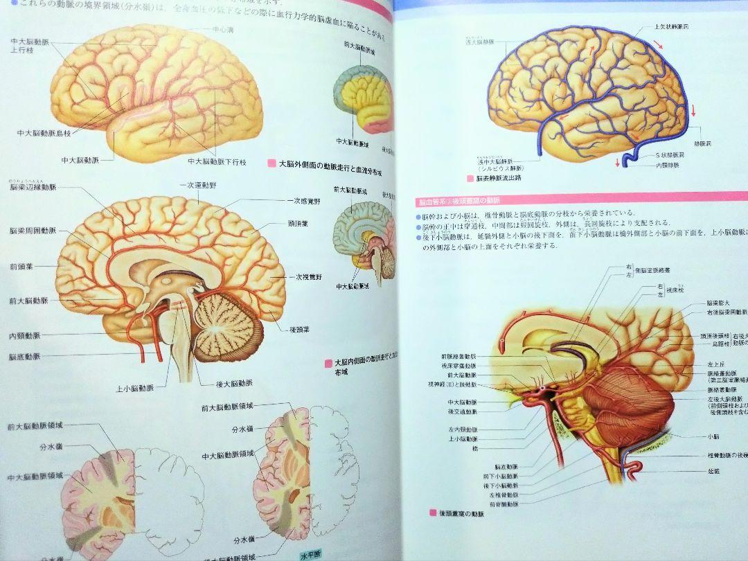 脳神経疾患ビジュアルブック 学研（テキスト 教科書 看護学校 医学 医師 医学生 医学部 研修医 薬剤師 看護学 看護師 ナース 看護学生）