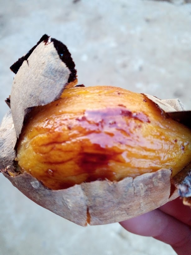 キャラメル芋 種子島産安納芋こがね3Sサイズ5kg 農薬不使用 ワケアリ_画像3