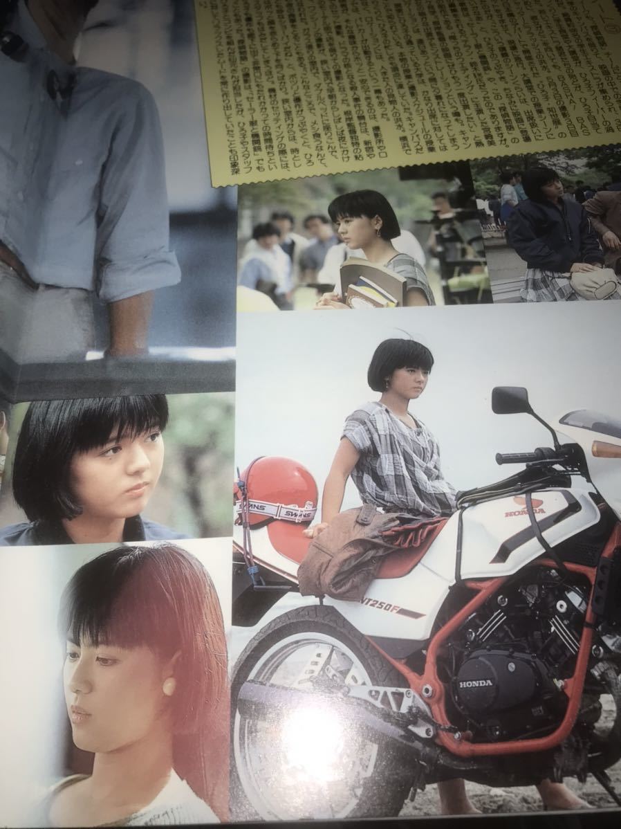 探偵物語 薬師丸ひろ子 角川書店 パンフレット レトロ 当時物 アイドル 映画 No.306 - その他 探偵物語 薬師丸ひろ子 角川書店 パンフレット レトロ 当時物 アイドル 映画 No.306 - その他