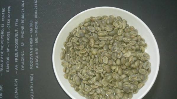 高級生豆 トラジャ　GRADE1 スペシャリティコーヒー １キロ_画像1